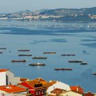 Portugal Muschelzucht