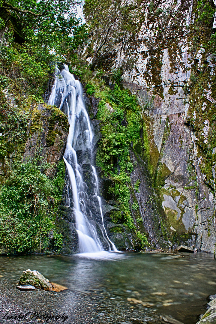 Portugal nature 