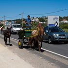 Portugals Antwort auf das Dieselfahrverbot