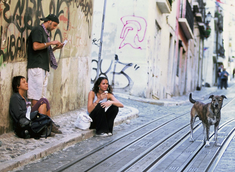 Portugal's Dogs. Lisboa