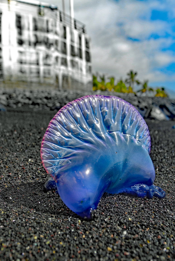 Portugiesische Galeere auf La Palma