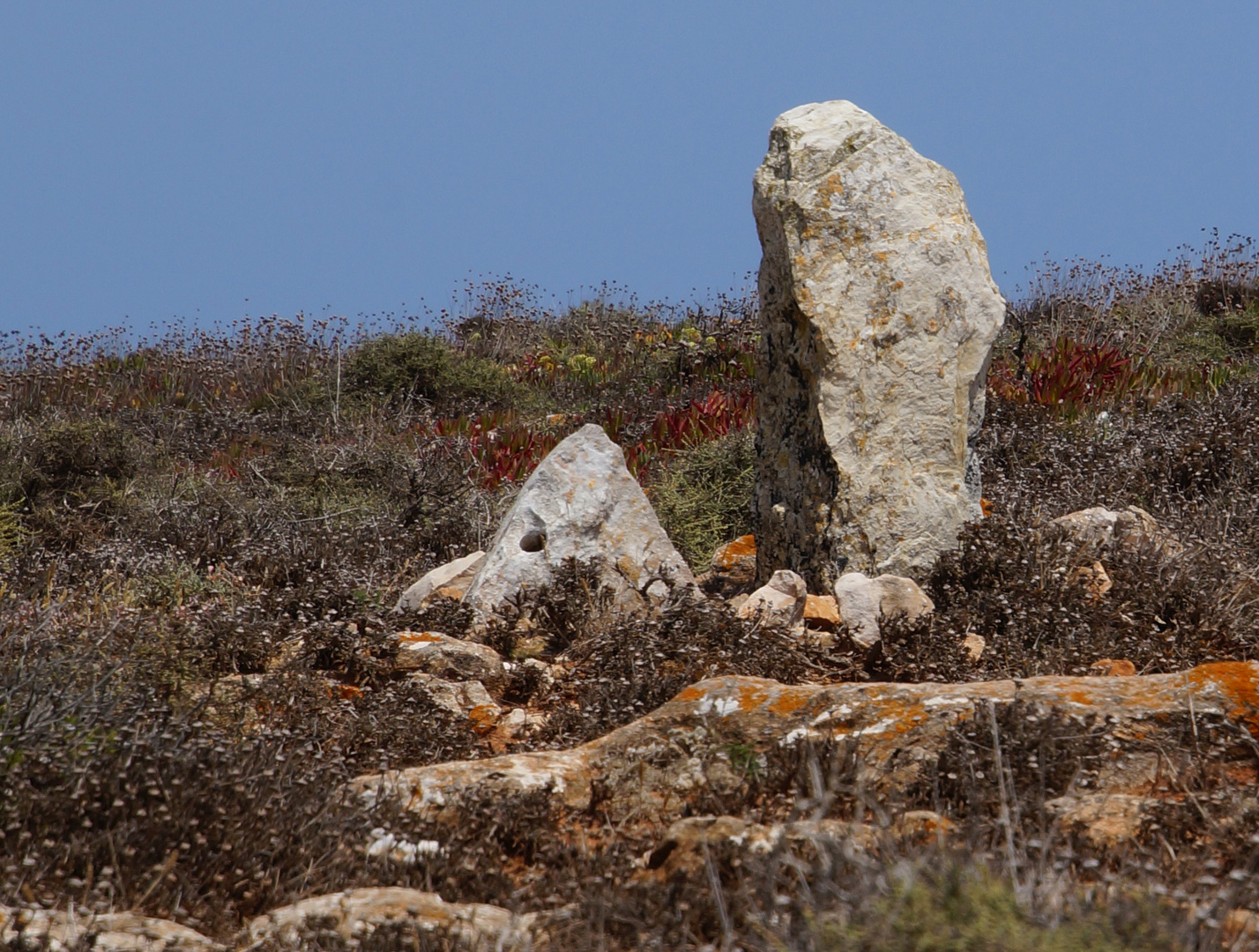 portugiesische Landschaft_09375