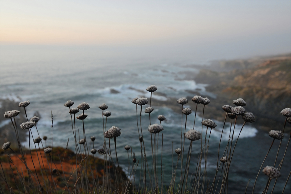 Portuguese Beaches IX