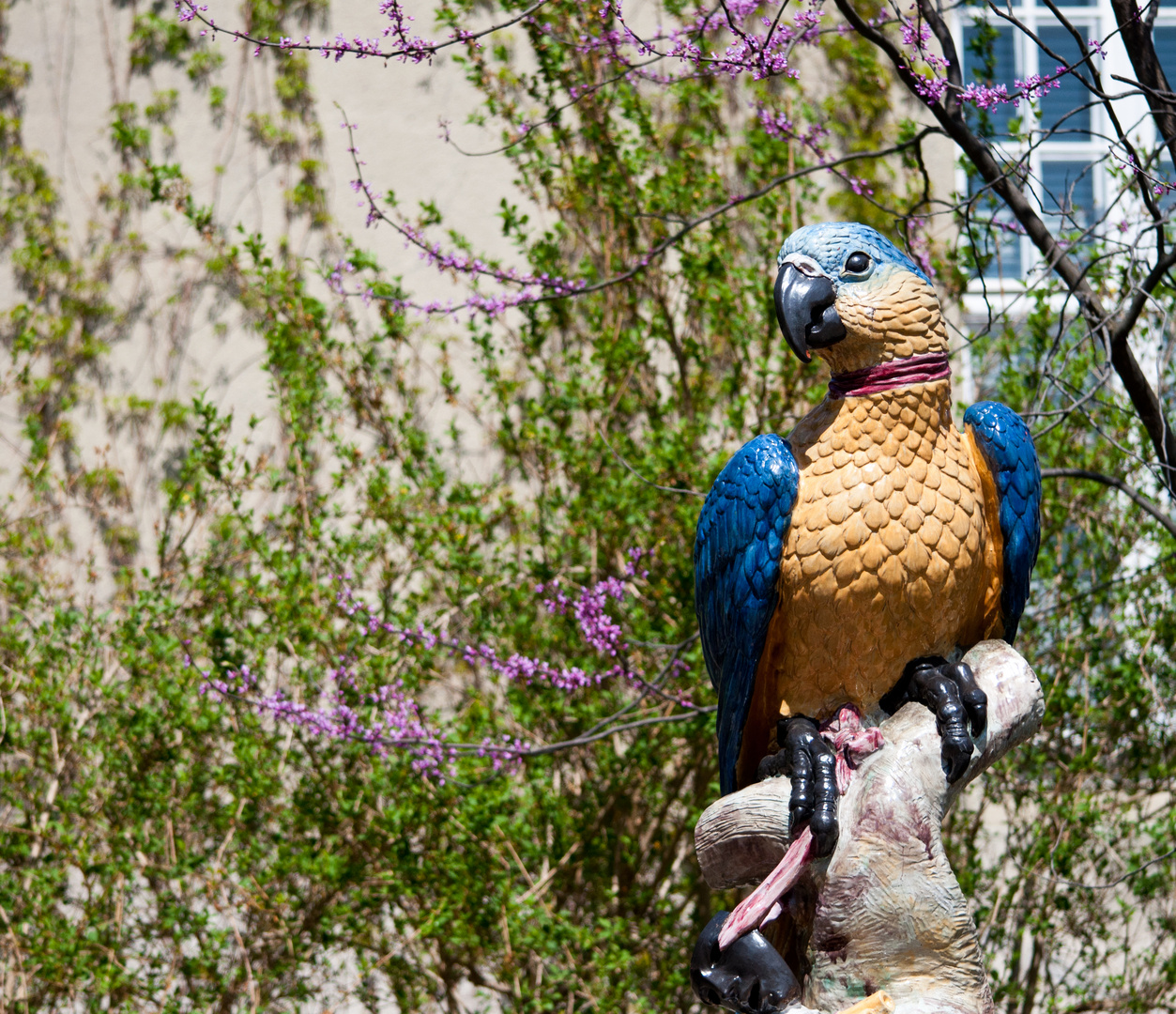 Porzellan-Papagei im Botanischen Garten München