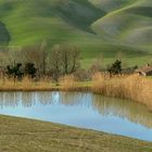 Porzione di paesaggio toscano