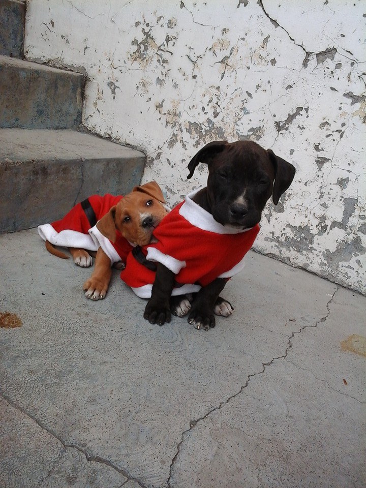 Posando para Mamá