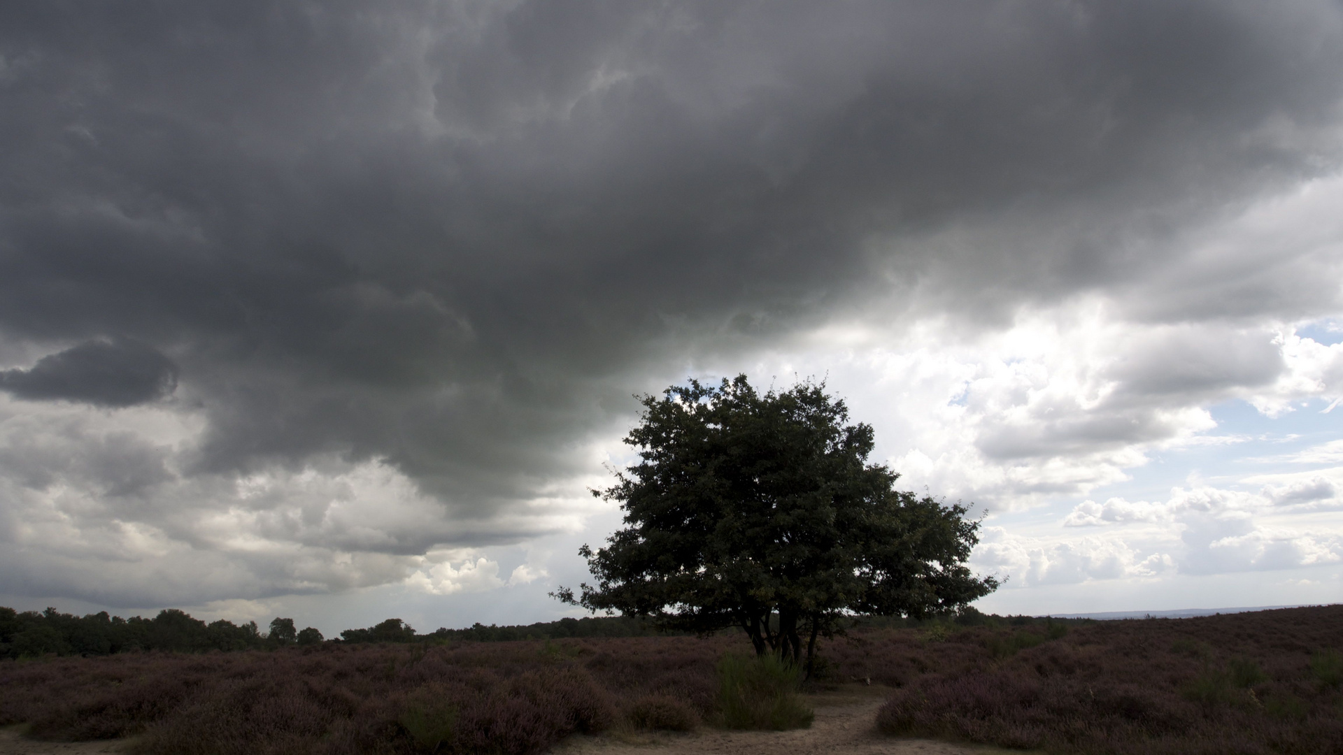 Posbank Heide