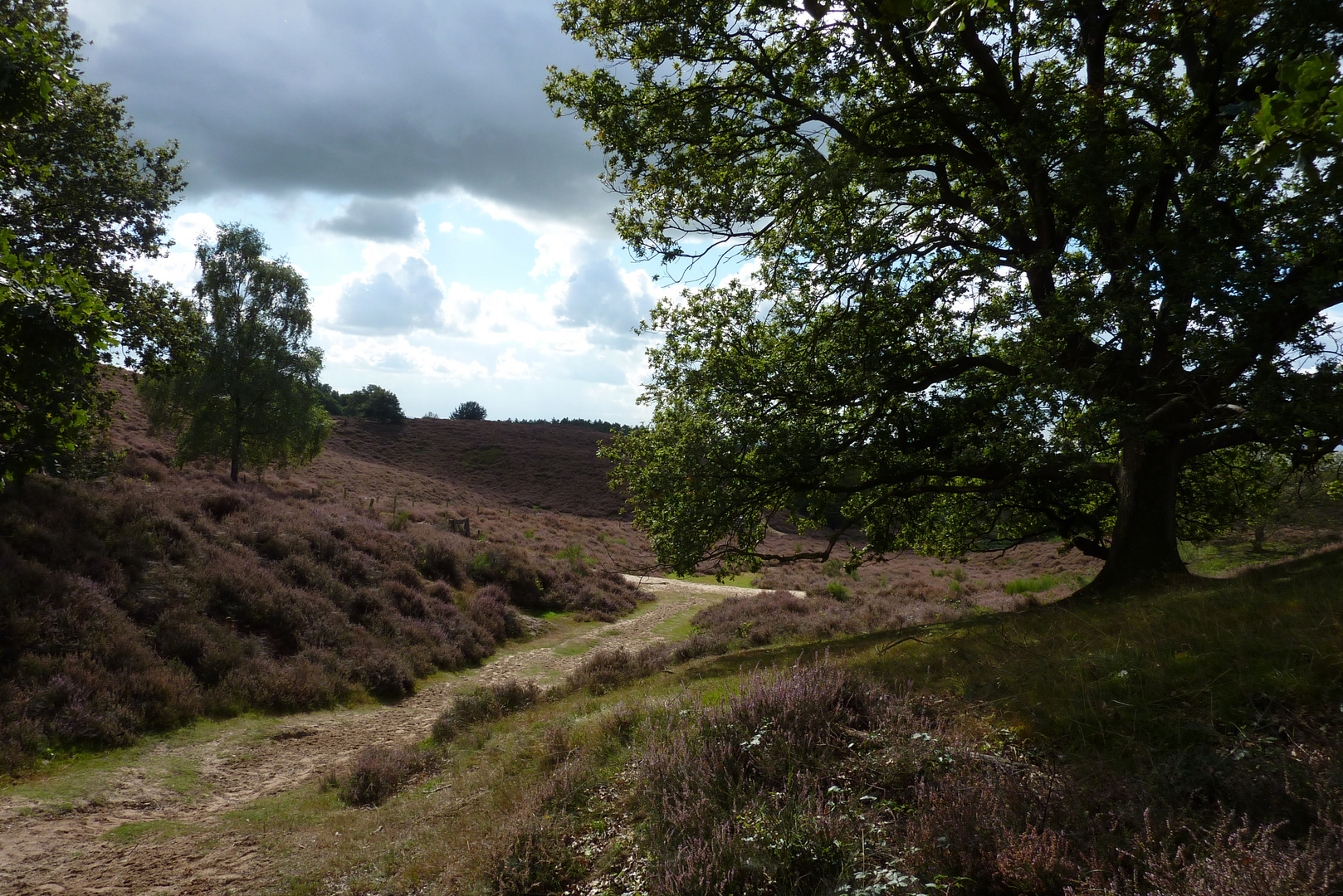 posbank veluwe