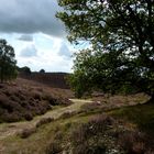 posbank veluwe