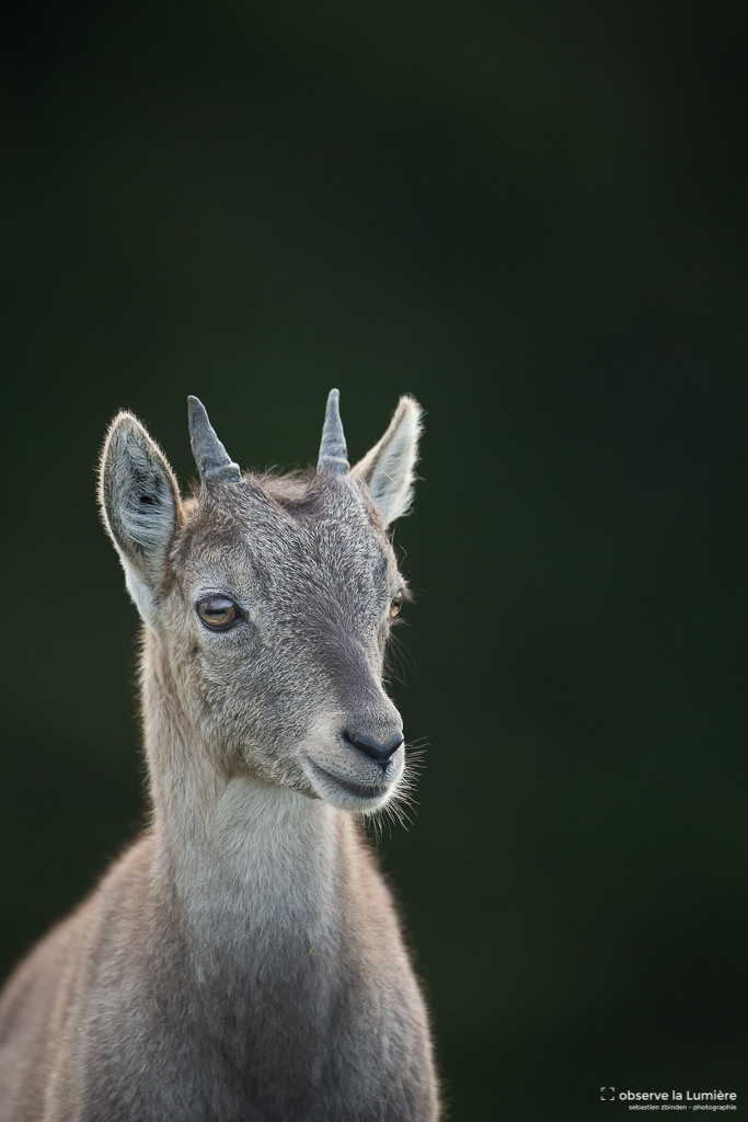 Pose en mode portrait