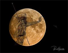 Poseidon und der Mond .....