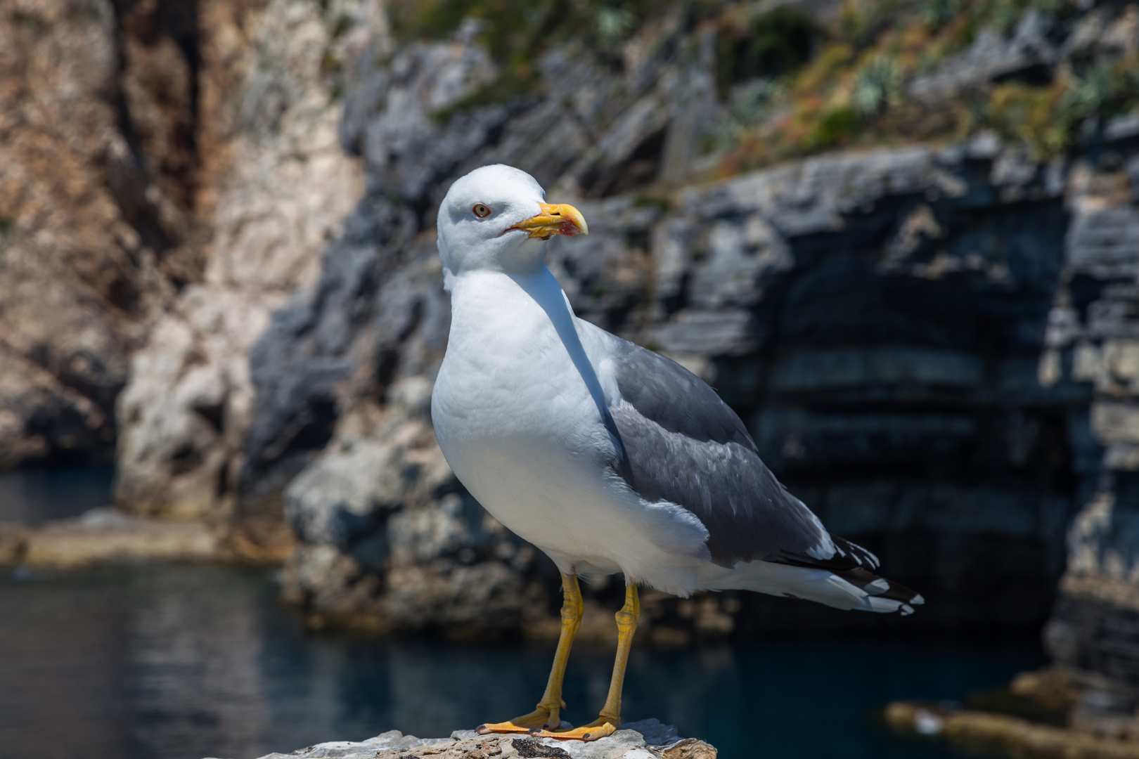 Posen kann ich! Kannst du auch fotografieren?