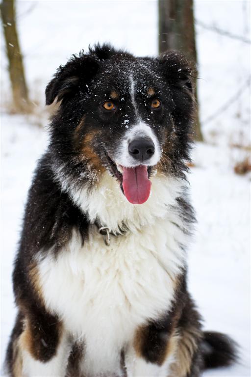 Poser im Schneesturm ;)