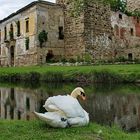 Poser vor dem alten Schloss