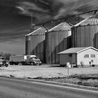 Posey Farms Trucks - Reload