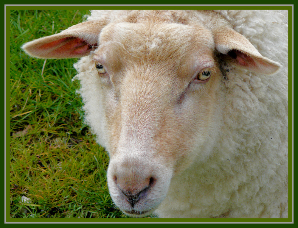 Posieren fürs Osterfest