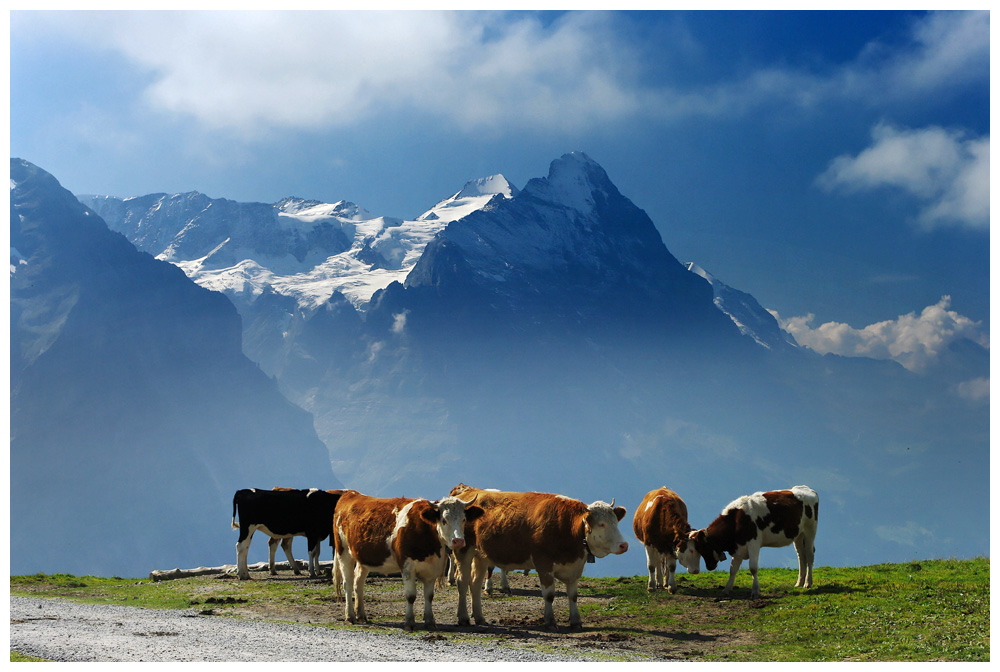 Posieren vor Eiger und Mönch