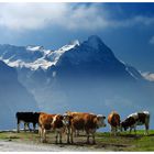 Posieren vor Eiger und Mönch