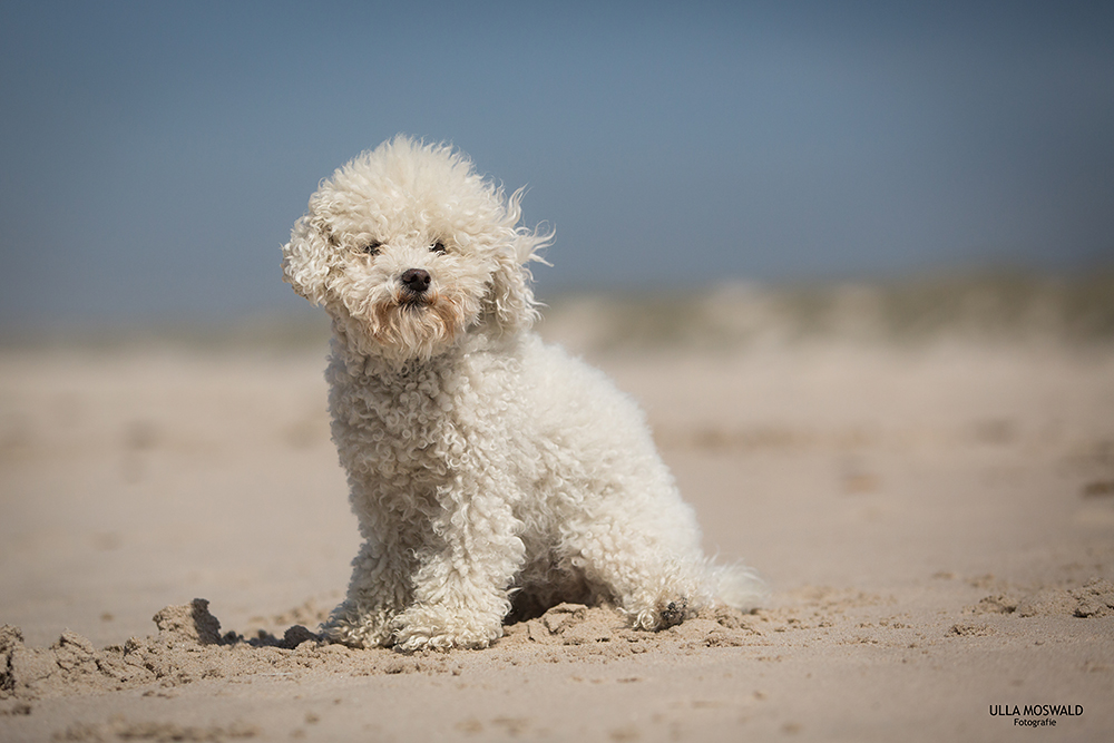 ...Posing am Strand...