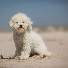 ...Posing am Strand...