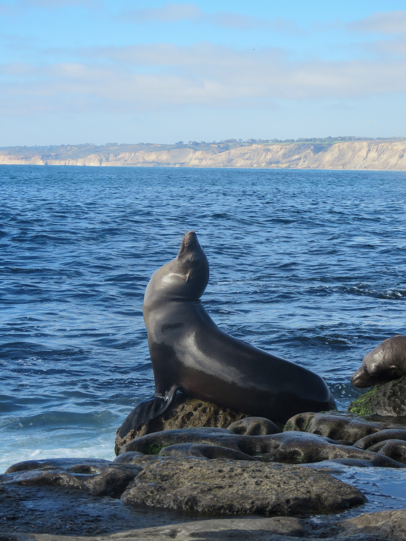 Posing by the ocean