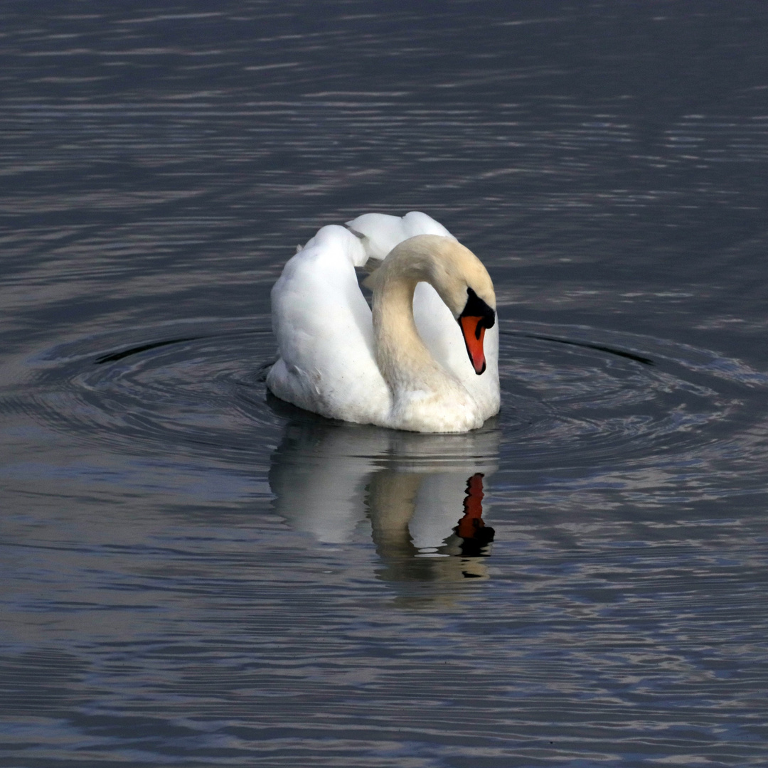 posing für den Spiegeltag