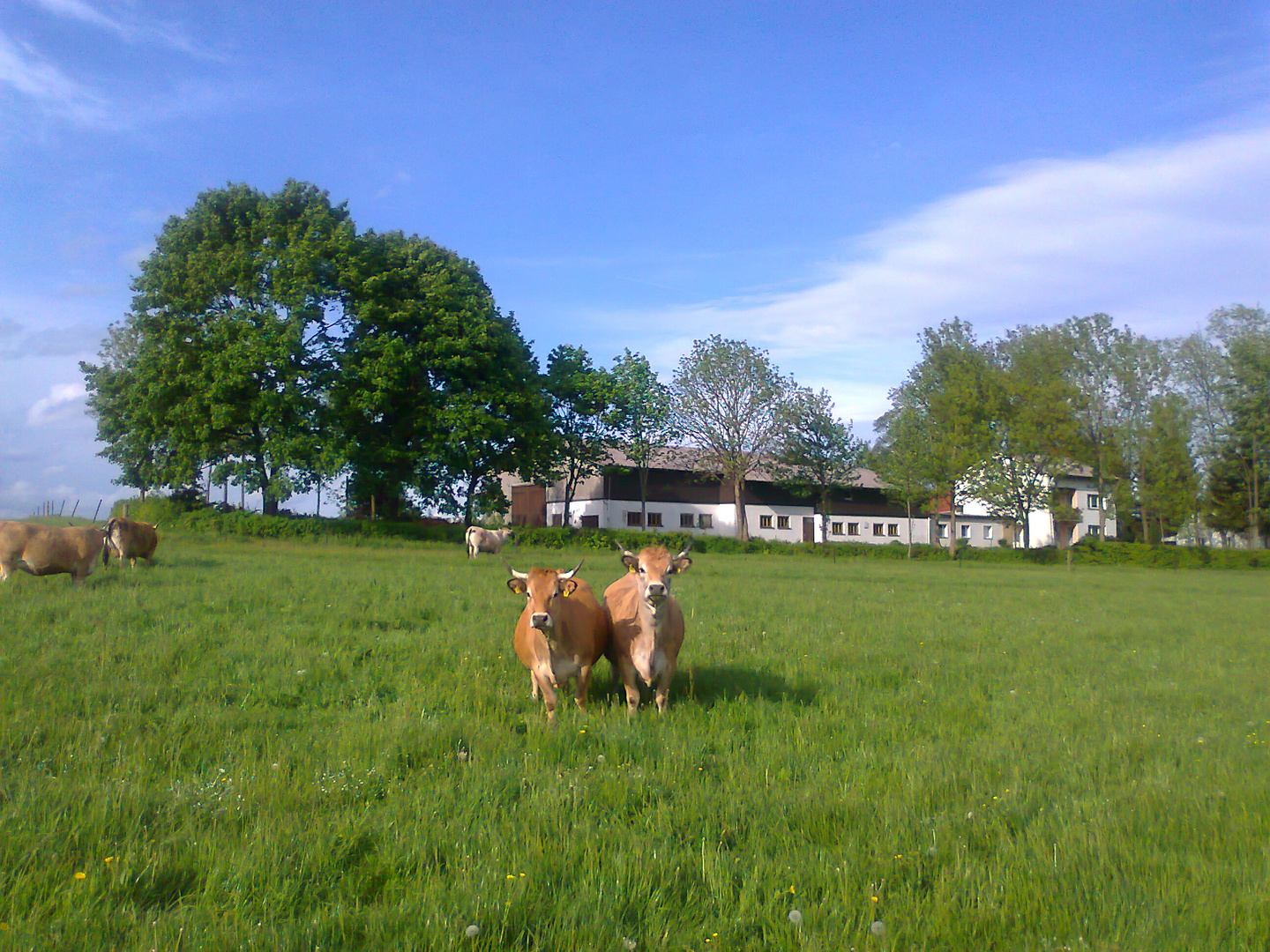 POSING  für eine S E D C A R D    Anna und Maria  19.05.2015