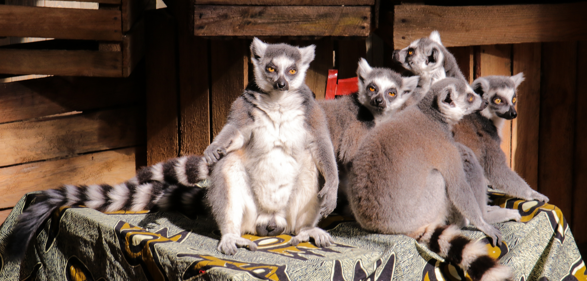 Posing für´s Familienfoto