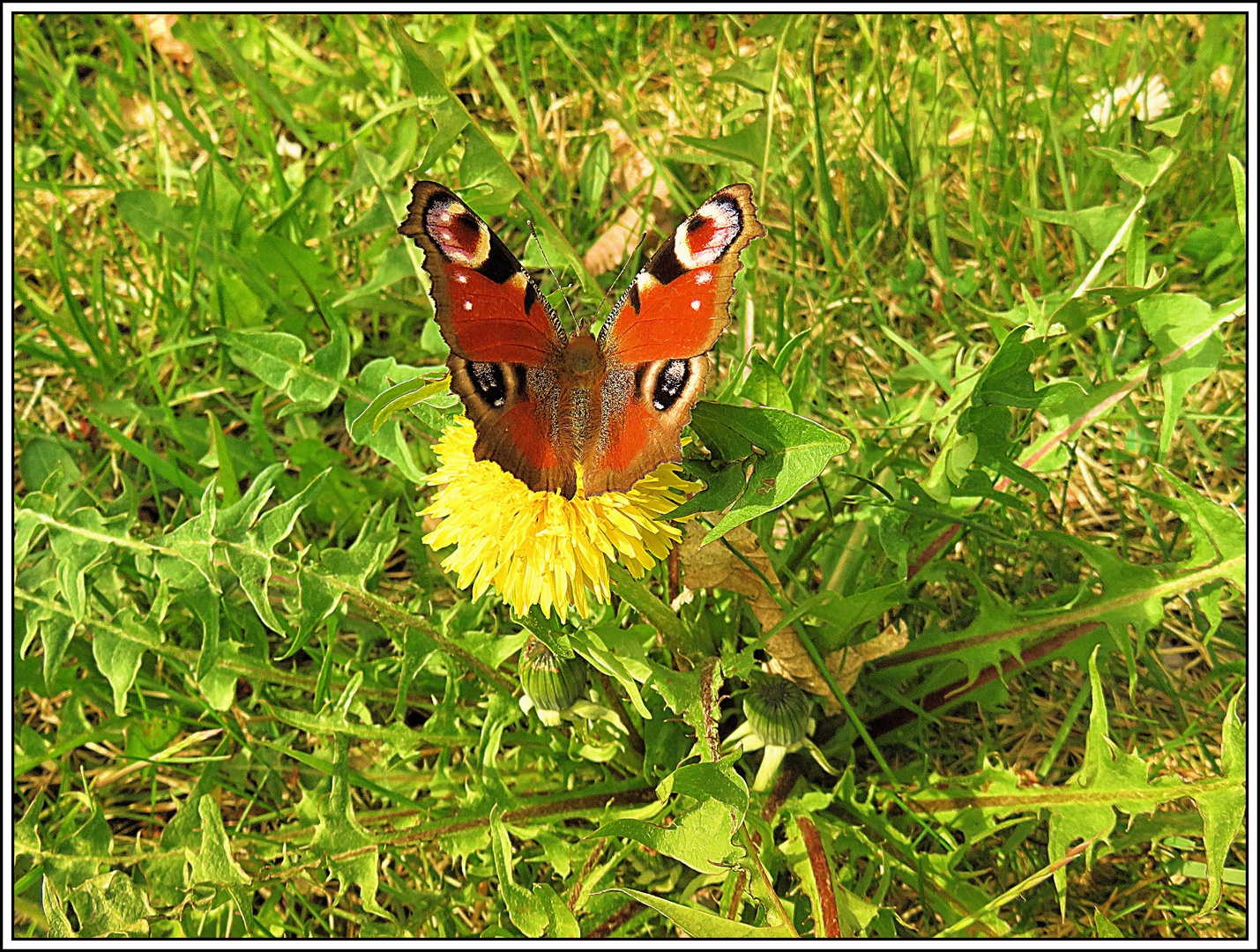 Posing für´s Foto