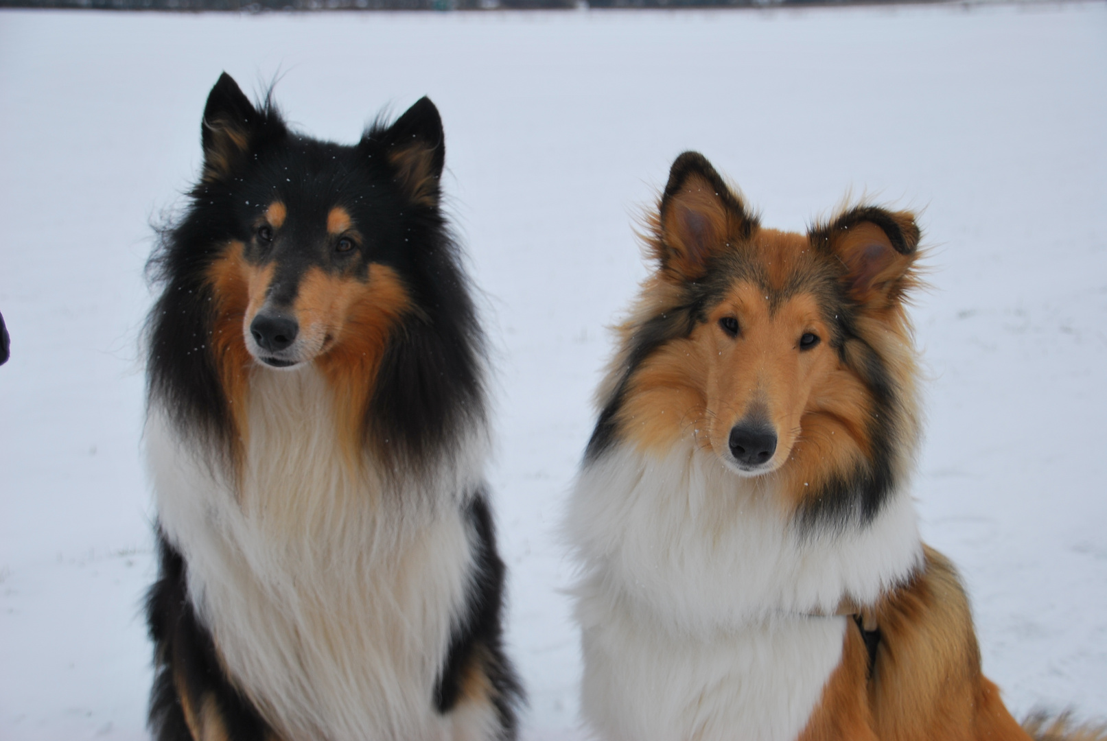 Posing im Schnee