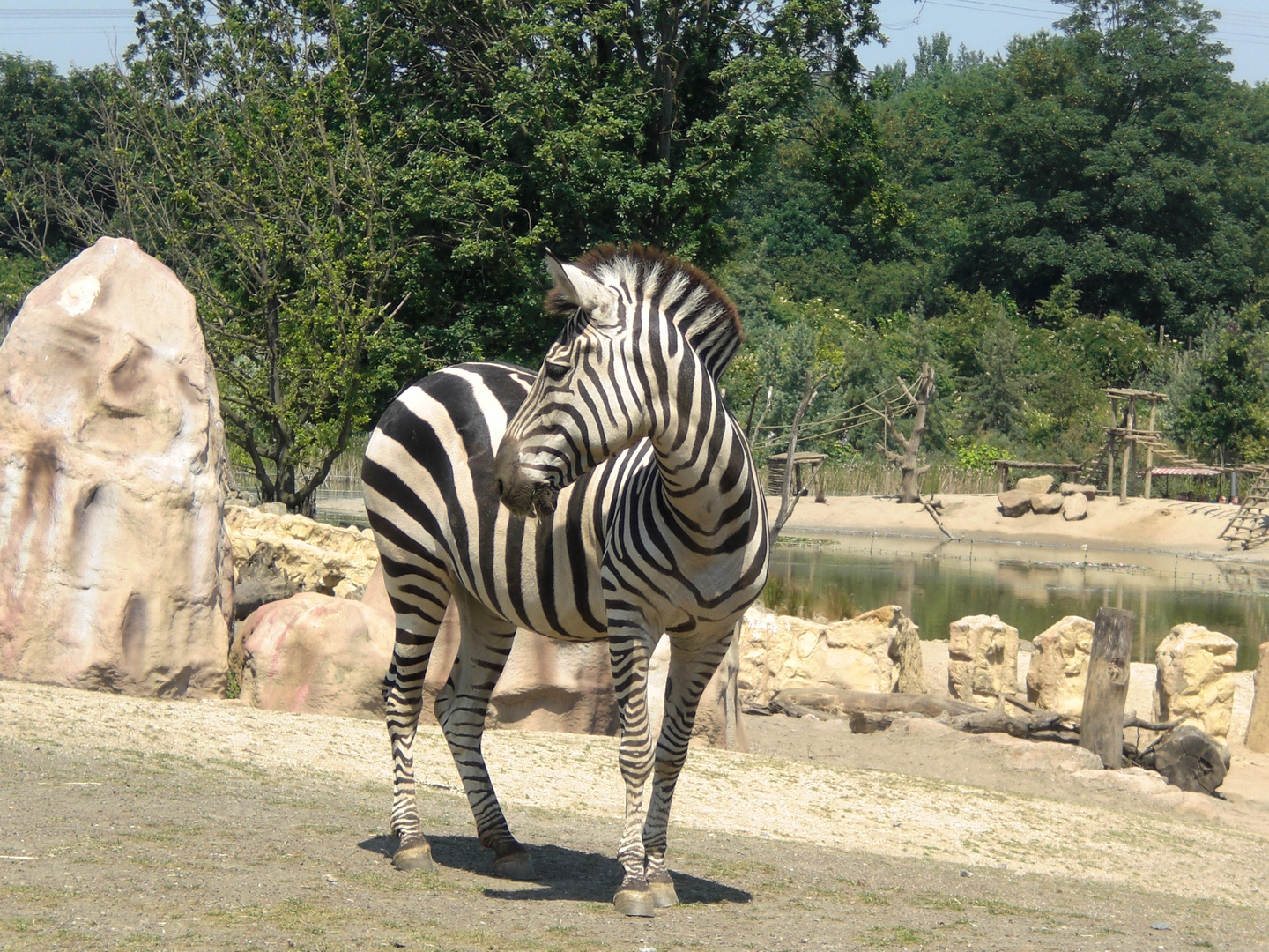 Posing leicht gemach