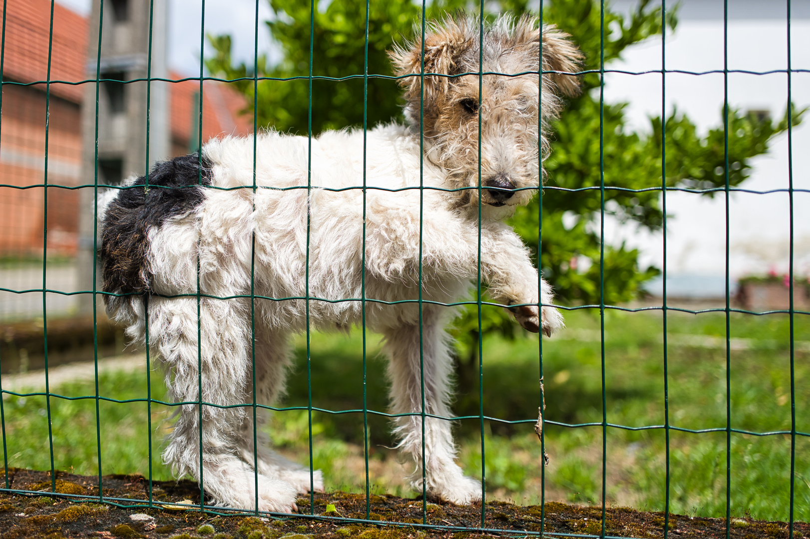 Posing mit Durchblick....