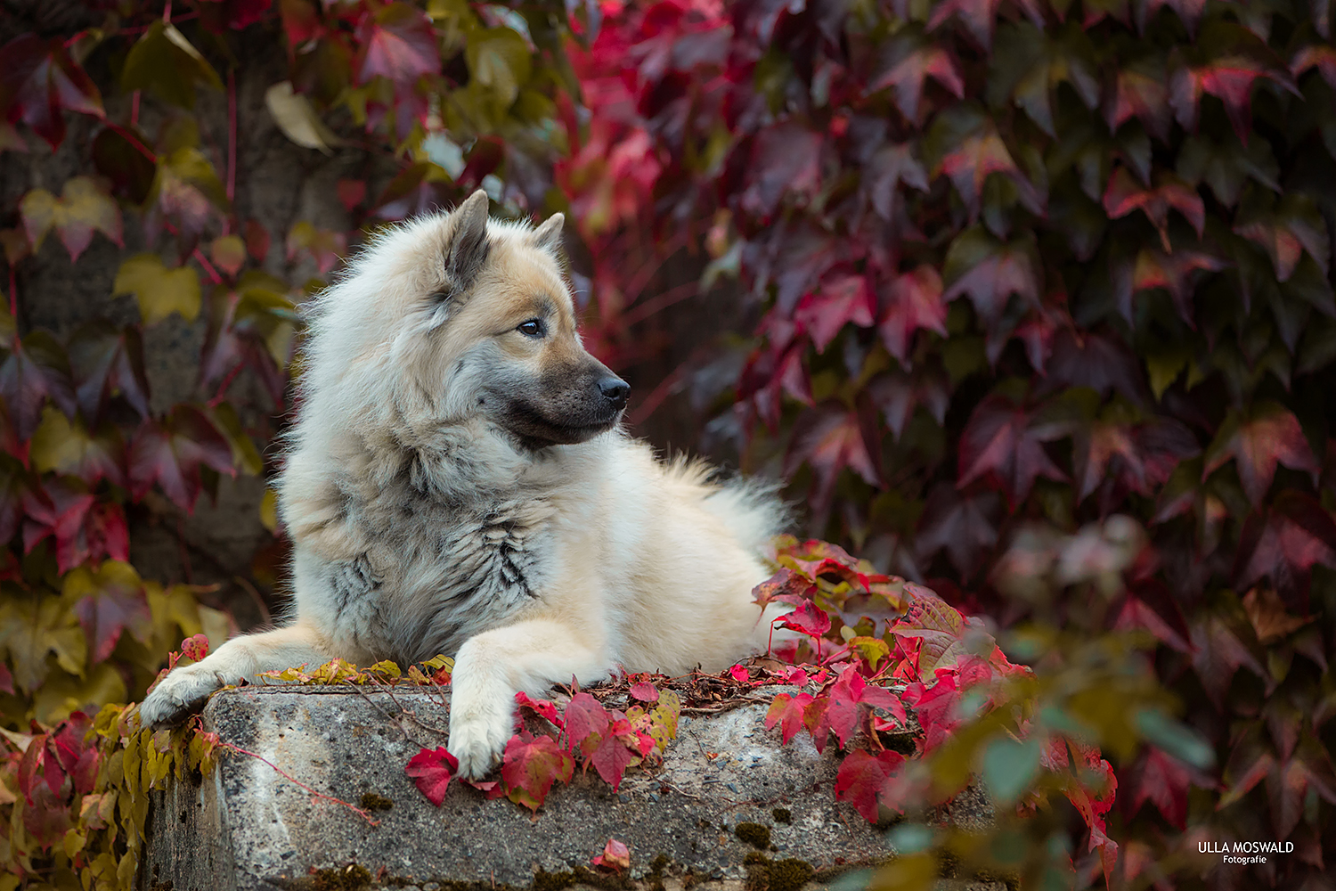 ...posing queen...