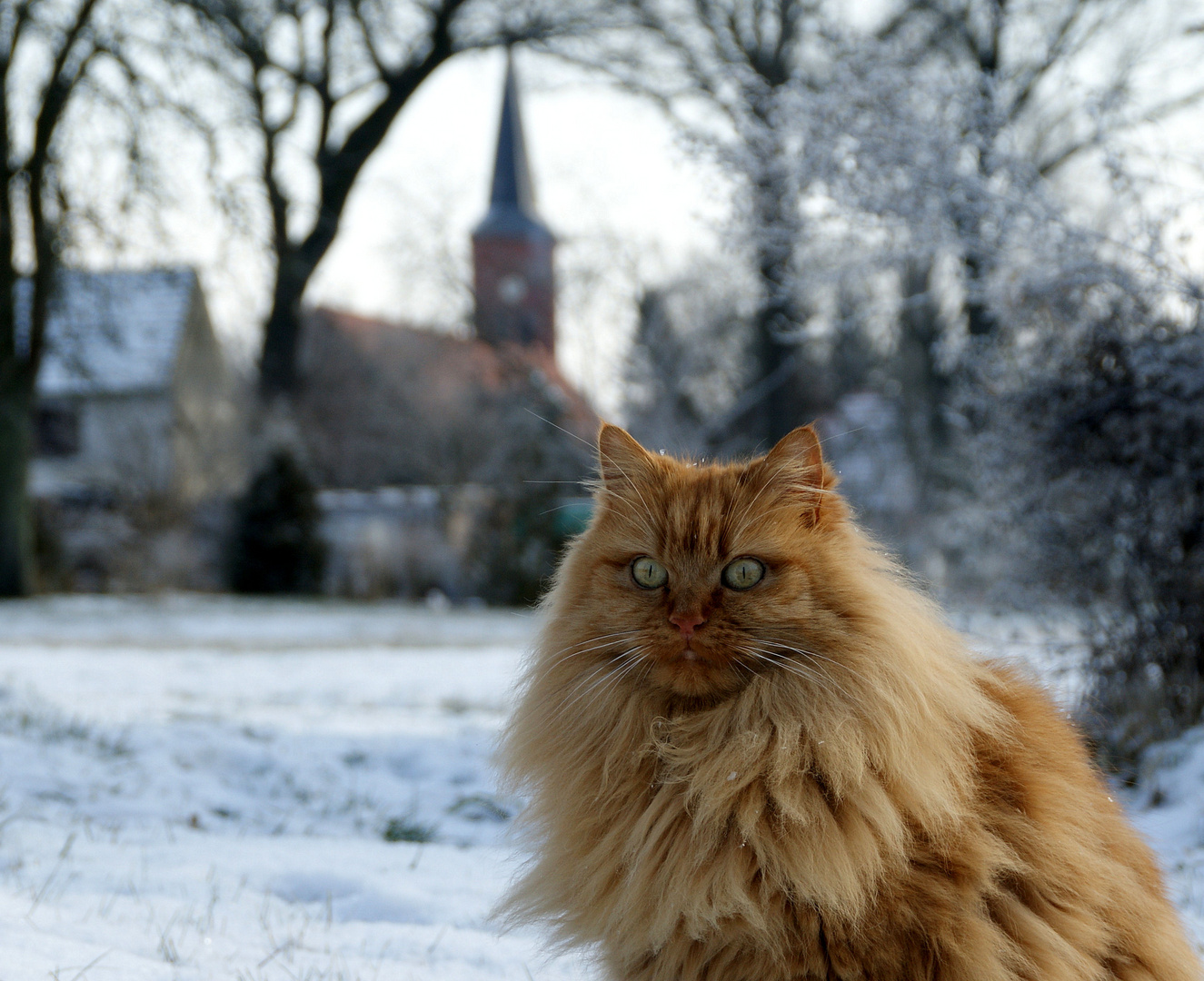 Posing vor dem Kirchturm