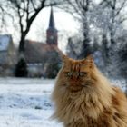 Posing vor dem Kirchturm