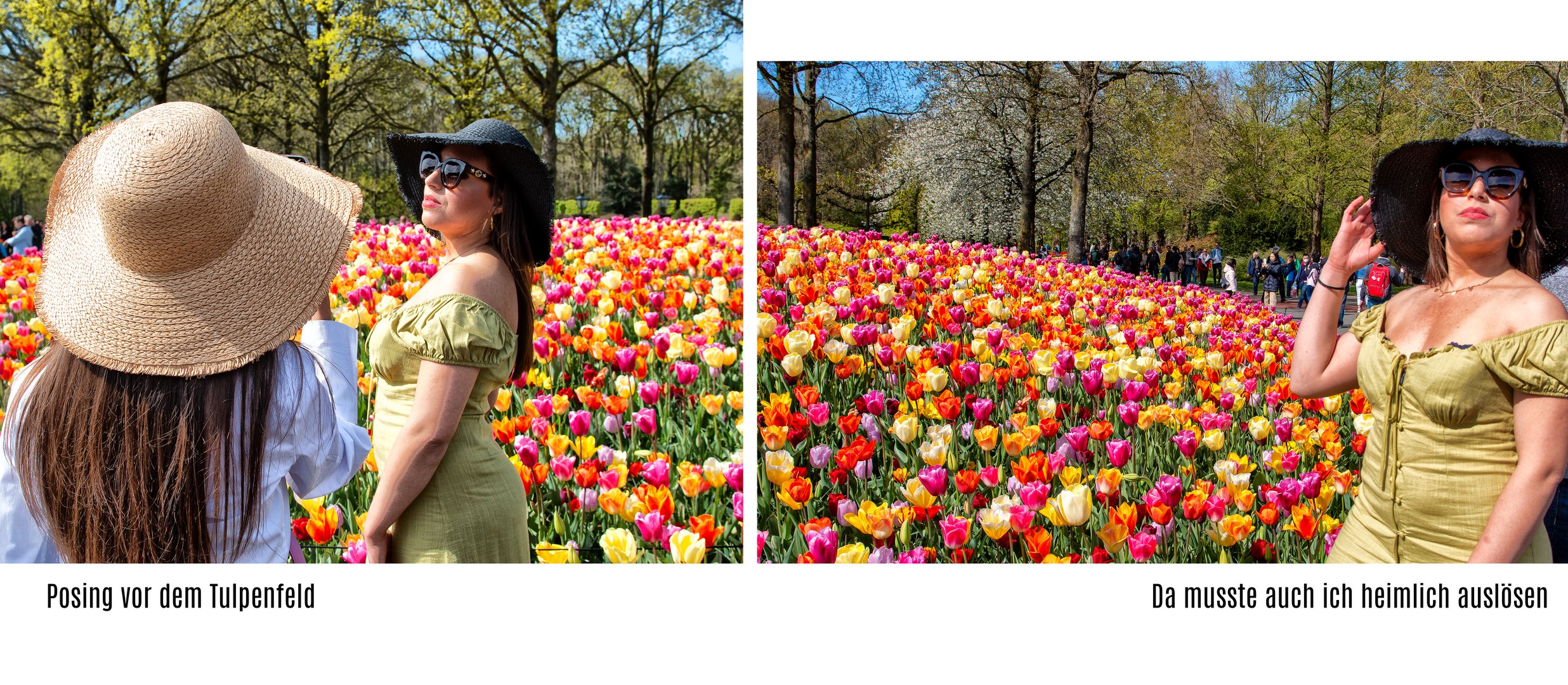  Posing vor den Tulpen im Keukenhof