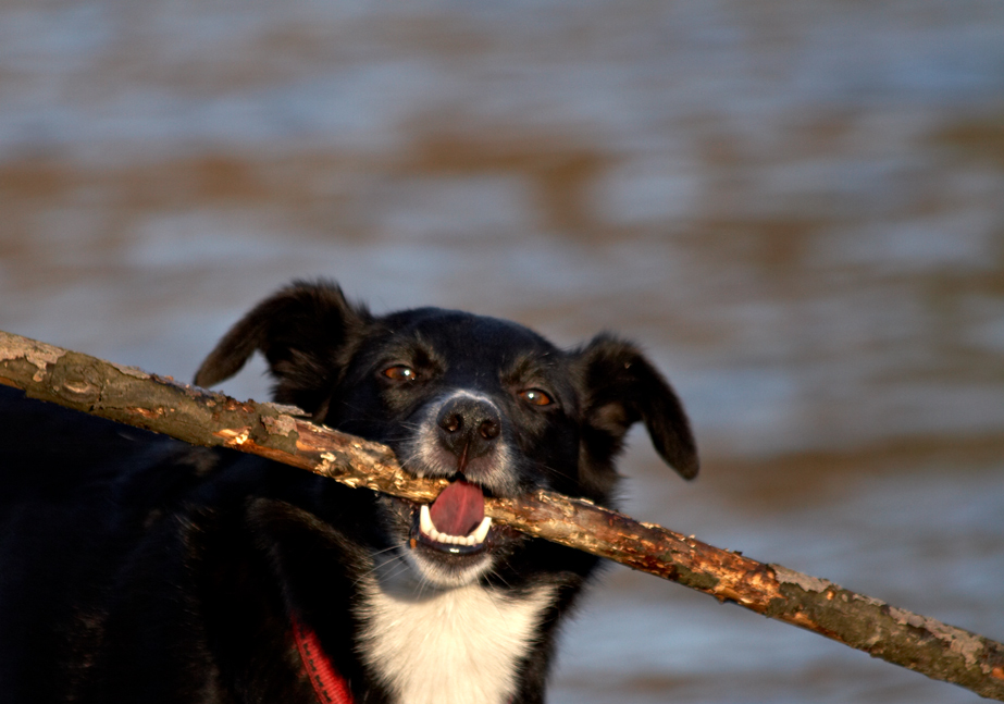 Posing with the Stick