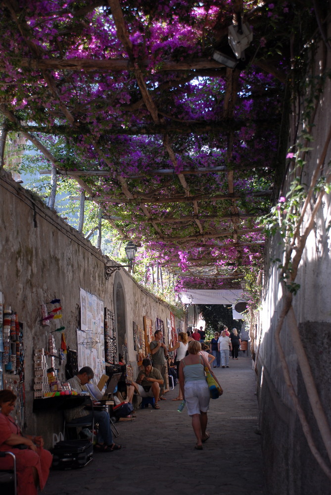 Positano e il tetto di bouganville