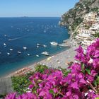 Positano in fiore