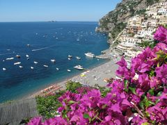 Positano in fiore