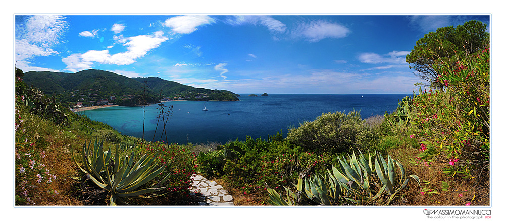 Post card from Isola d'Elba