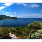 Post card from Isola d'Elba