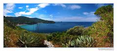 Post card from Isola d'Elba