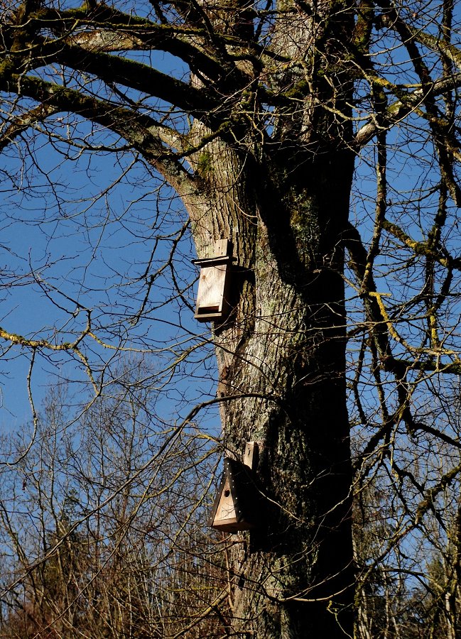 Post für den Nachbarn