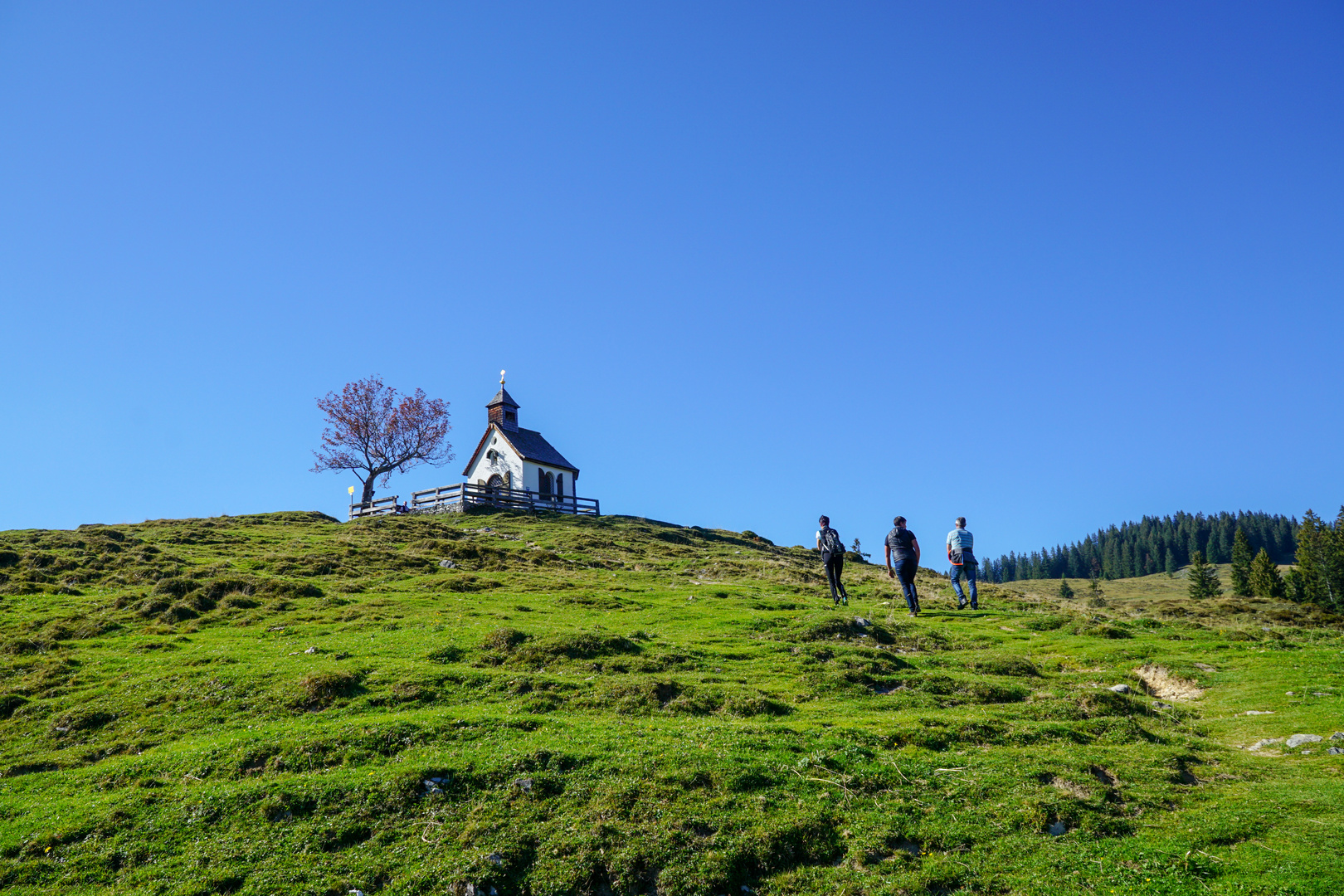 Postalm in Österreich 