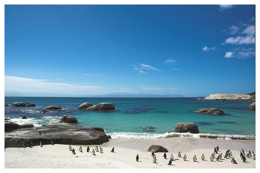 Postcard 04: Penguin Colony Boulders