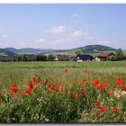 Postcard from Sauerland