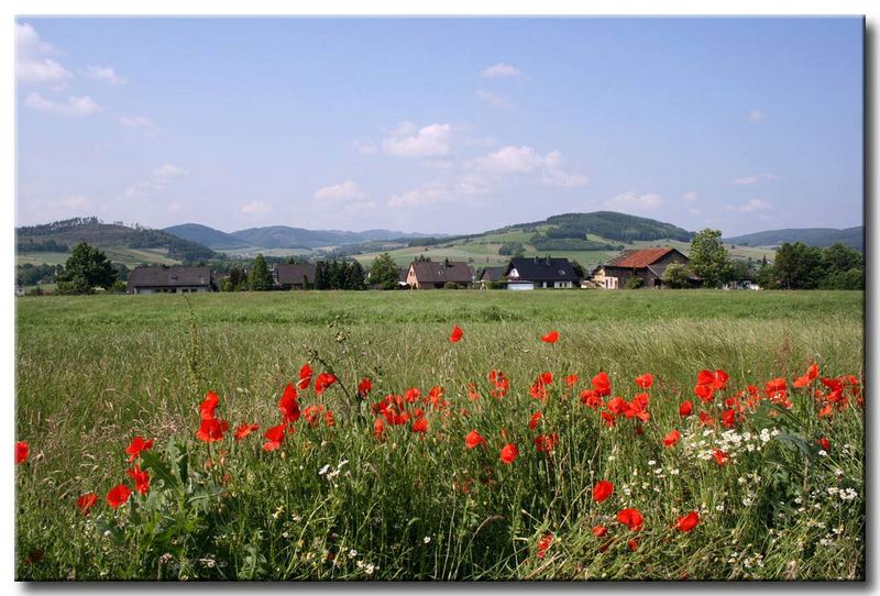 Postcard from Sauerland