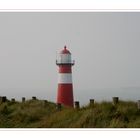 Postcard from Zeeland