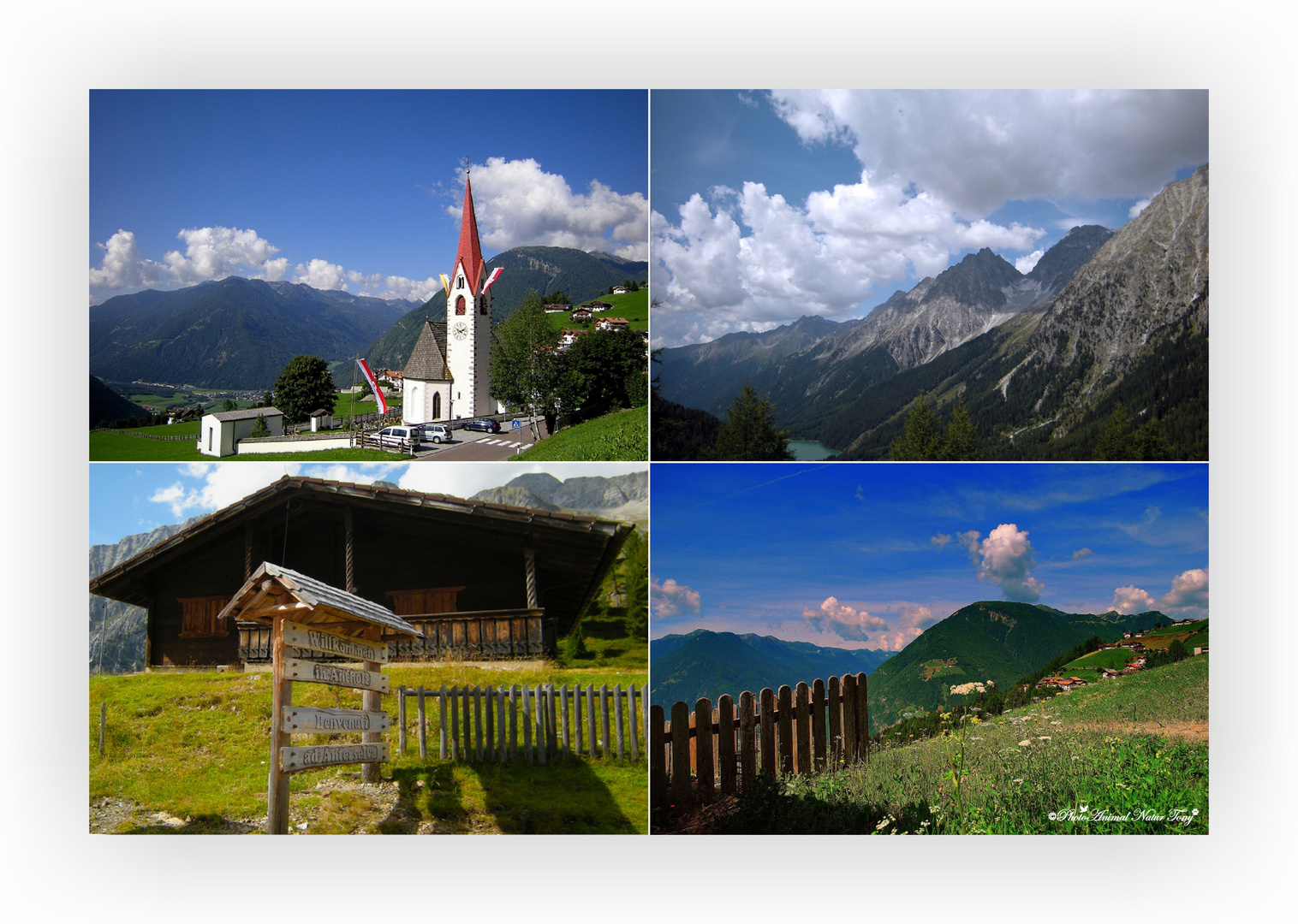 Postcard.dal Suedtirol